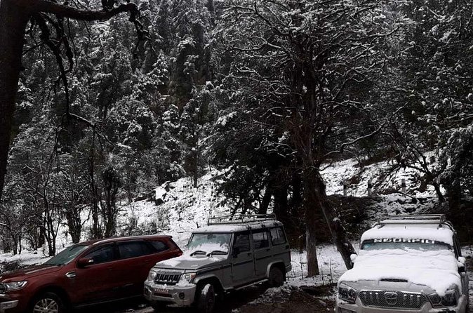 3 Days Kalinchowk Trekking from Kathmandu - Who will enjoy this trek most