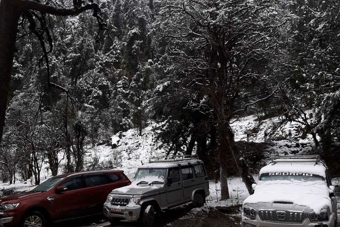 3 Days Kalinchowk Trekking from Kathmandu - Kuri to Kalinchowk in about two hours