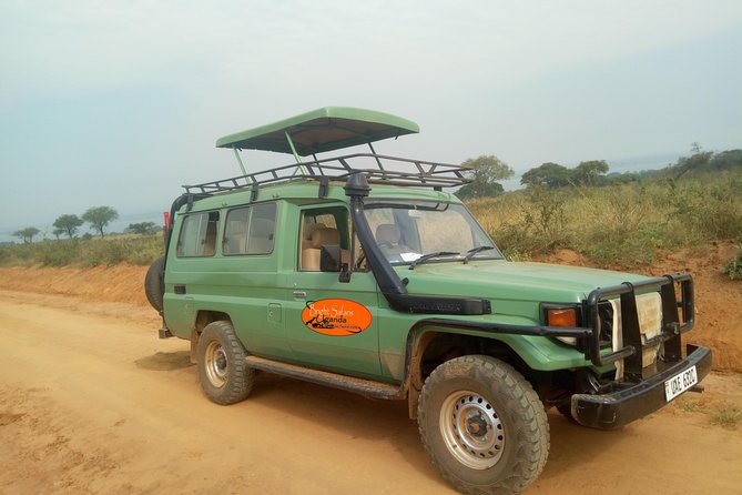 3 Days Lake Bunyonyi and Gorilla Trekking Tour in Uganda - Why the ranger briefing matters