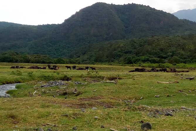 3 Days Mount Meru Trek - Why Mount Meru makes sense before Kilimanjaro