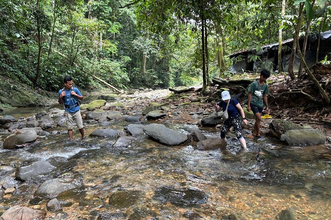 3 Days Orangutan Sumatra Jungle Trekking with Rafting - The second camp and another night outdoors