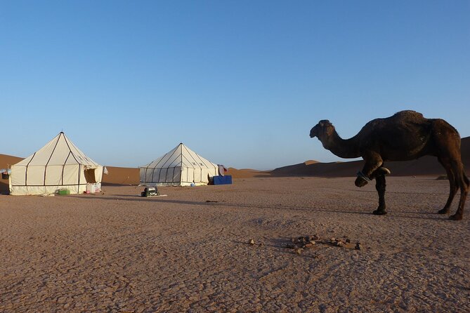 3-Days Private Sahara Desert Trek - Why this Sahara trek is different