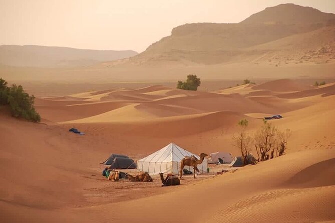 3-Days Private Sahara Desert Trek - Food, camp life, and the people behind the trip