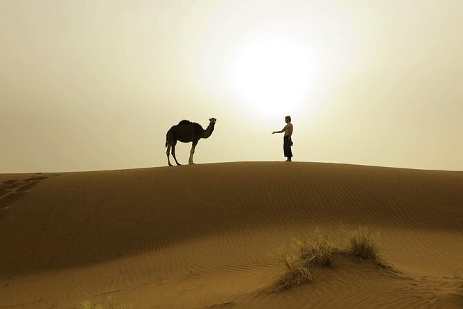 3-Days Private Sahara Desert Trek - Day 2: Camel travel, Erg Dwib, and sunset tea