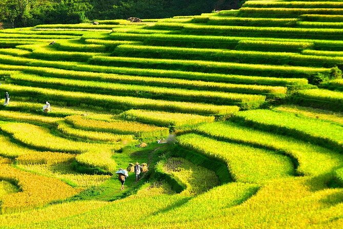 3 Days Pu Luong Off-road Trekking Best for Mountain Lovers - Key points to know before booking