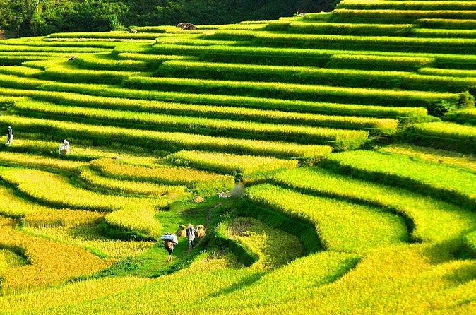3 Days Pu Luong Off-road Trekking Best for Mountain Lovers - FAQ