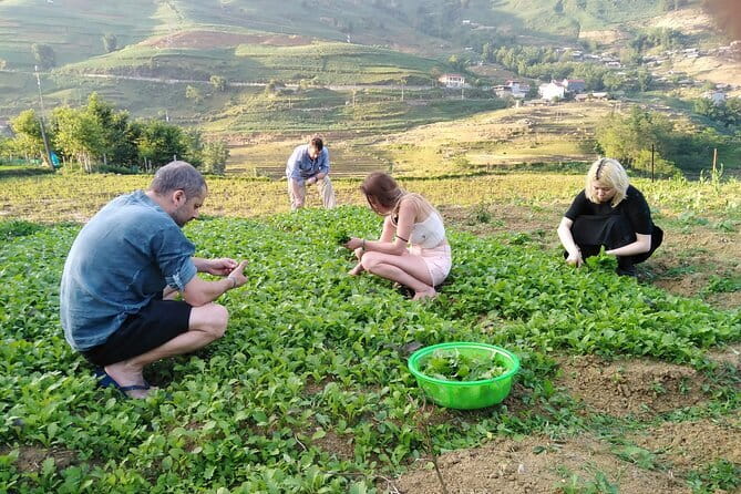 3-Days Sapa Trekking With Local Guide Overnight in Tavan Village - The early Hanoi departure and long ride north