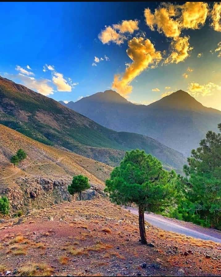 3 Days Trek Atlas Mountains Berber Villages from Marrakech - Who should book this trek?