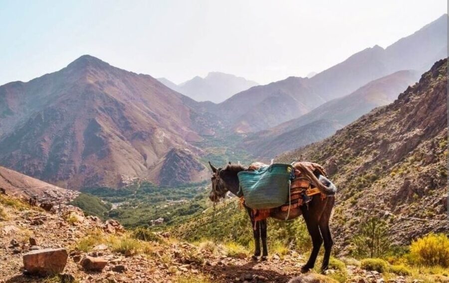 3 Days Trek Atlas Mountains Berber Villages from Marrakech - Guides make the difference