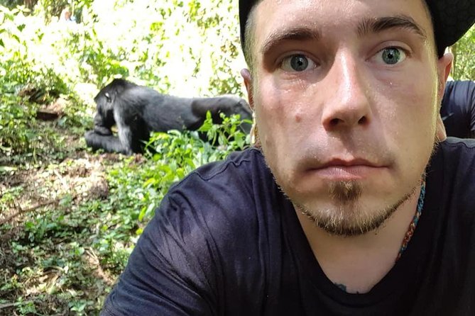 3 Days Uganda Gorilla Trekking Safari - Bwindi Impenetrable National Park and Its Forest Life