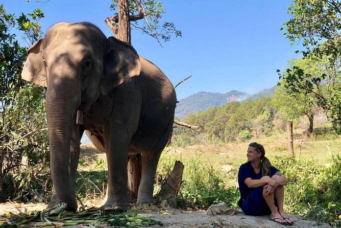 3-in-1: Doi Inthanon Tour, Elephant Sanctuary, and Trekking Trail - Transport, timing, and group size