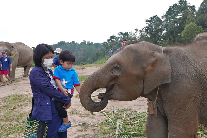 3-in-1: Doi Inthanon Tour, Elephant Sanctuary, and Trekking Trail - Reaching Thailand’s highest mountain