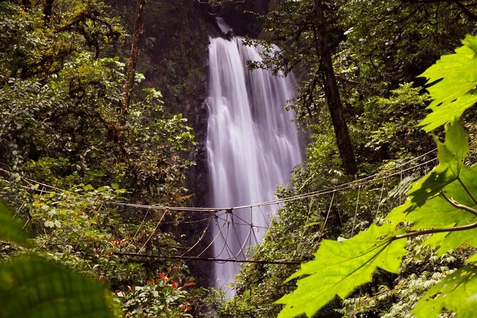 3-in-1 Monteverde Cloud Forest Waterfalls, Wild Trekking and Horseback Riding - The day begins above Monteverde’s waterfalls