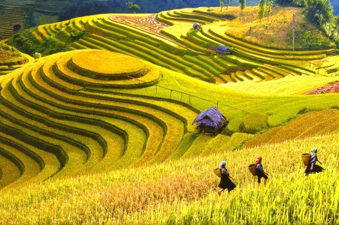 3-Night Sapa Trek and Homestay with Round Trip Transfer from Hanoi - What the $218 price really covers