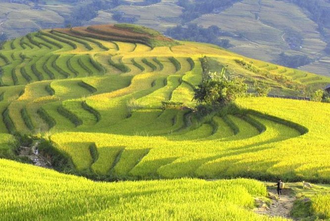 3-Night Sapa Trek and Homestay with Round Trip Transfer from Hanoi - Leaving Hanoi at 8:00 p.m.