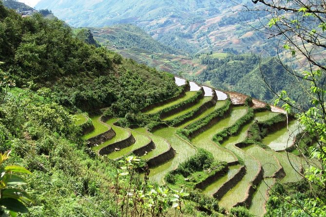 3-Night Sapa Trekking Tour from Hanoi - Dawn in Sapa: breakfast, a shower, and a practical reset