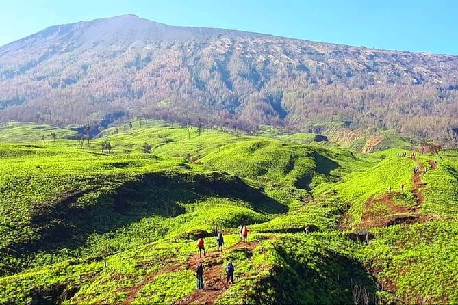 3D 2N Mount Rinjani Trekking Tour To Summit And Lake - Day 3: sunrise, descent, and Senaru