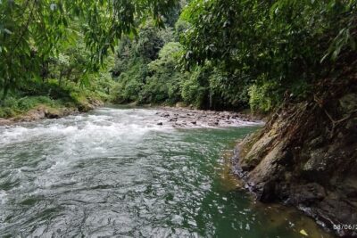 3D2N Jungle Trek | 2 Night accommodation | Pick up and drop off