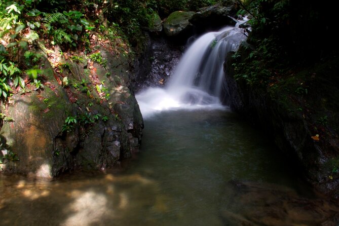 3D2N Jungle Trek | 2 Night accommodation | Pick up and drop off - Day two goes farther into the forest