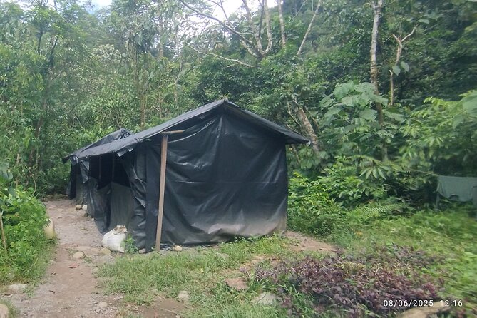 3D2N Jungle Trek | 2 Night accommodation | Pick up and drop off - Early sounds, a final walk, and the river return