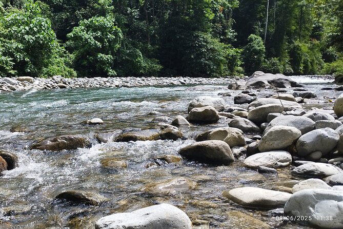 3D2N Jungle Trek | 2 Night accommodation | Pick up and drop off - The four-hour return to Medan