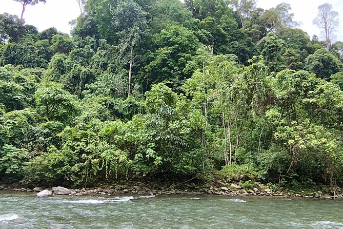 3D2N Jungle Trek | 2 Night accommodation | Pick up and drop off - Who should book this jungle trek?