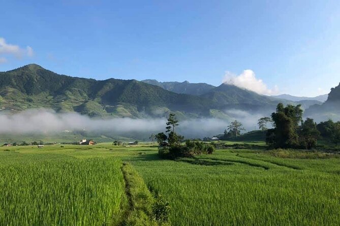 3D2N- Rice Terraces Treks & Easy rider from Sa Pa - The people and the human side of the trip