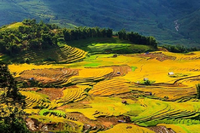 3D2N | Sapa - Bac Ha trekking tour to mountainous villages - Day 2: The best walking day from Y Linh Ho to Ta Van