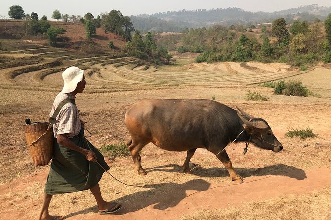 3Days Less Touristic Way Trekking from Kalaw To Inle - Walking from Kalaw through forest and farmland