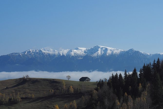 4-Day Carpathian Trek: Bucegi Mountains and Piatra Craiului National Park - What four days in the Carpathians really means