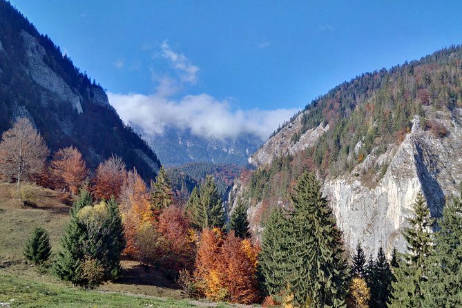 4-Day Carpathian Trek: Bucegi Mountains and Piatra Craiului National Park - Day four: the hard choice of the highest peak