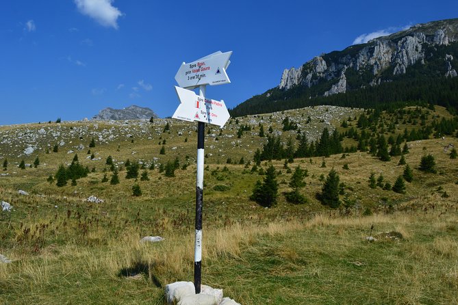 4-Day Carpathian Trek: Bucegi Mountains and Piatra Craiului National Park - Guides who add real value