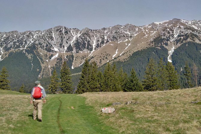 4-Day Carpathian Trek: Bucegi Mountains and Piatra Craiului National Park - Days two and three: Piatra Craiului and mountain villages