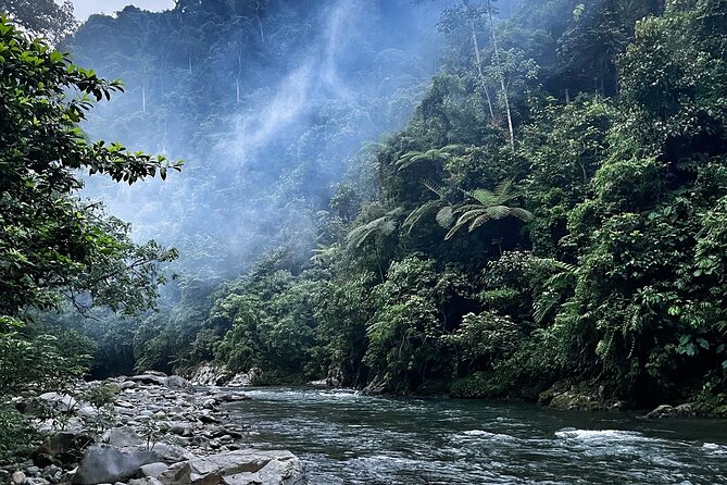 4 Day Jungle Adventure including 2 day trek - Leaving Medan for Bukit Lawang