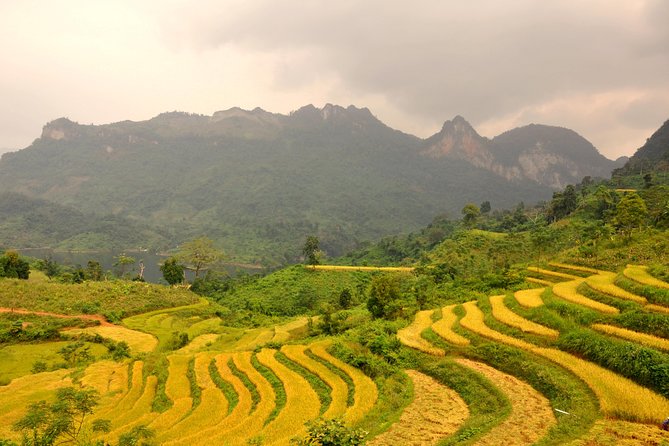 4-Day Jungle Trekking in Ba Be National Park - Day One: Hanoi to a Tay Stilt House