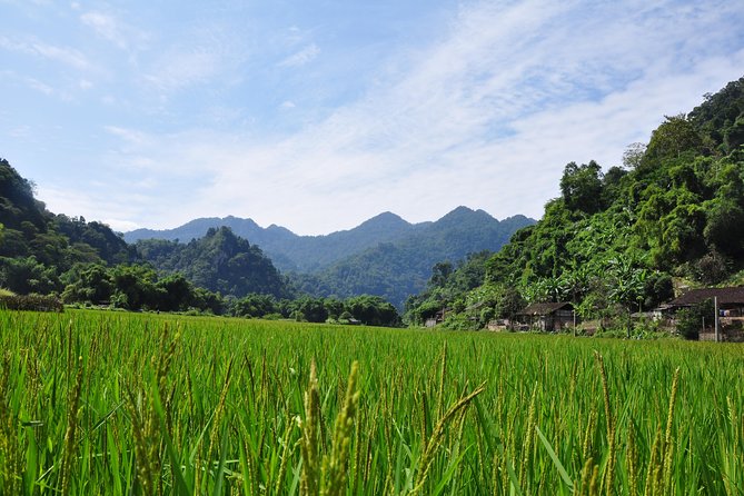 4-Day Jungle Trekking in Ba Be National Park - What the $679 Price Really Covers