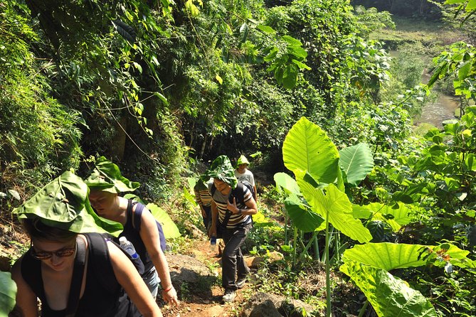 4-Day Jungle Trekking in Ba Be National Park - Day Two: Coc Toc Village and the Hardest Hike