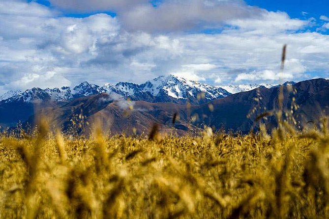 4-Day Lares Trek to Machu Picchu - Day 4: Machu Picchu before the day gets busy