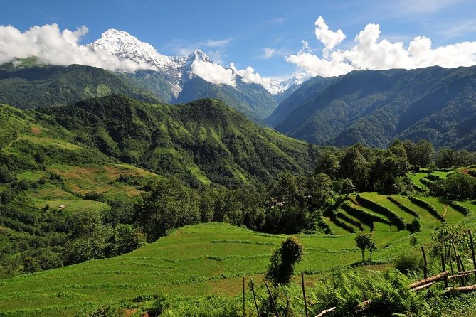 4-day Poon Hill Trek - Who should choose this trek