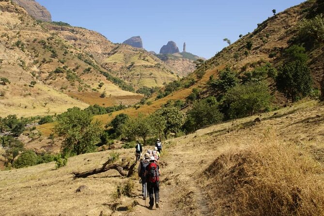 4 Day Trekking Simien Mountains - Day 3: Giant lobelia, Imet-Gogo, and Inatye at 4,070 meters