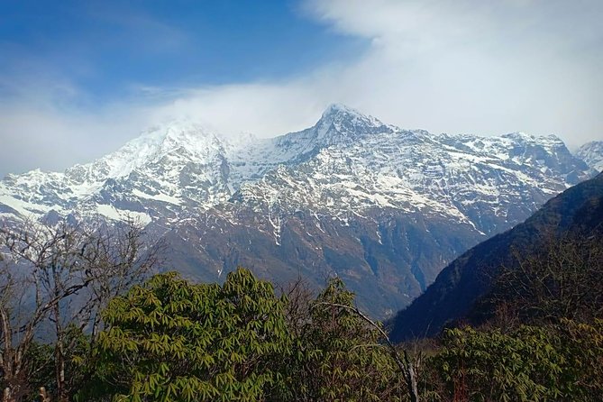 4 Days Mardi Himal Base Camp Trek - 4500 Meters - The guide can shape the whole experience