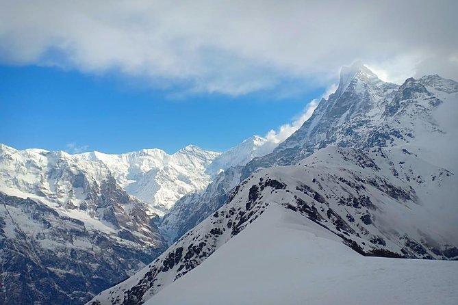 4 Days Mardi Himal Base Camp Trek - 4500 Meters - Day 2: Forest Camp to High Camp at 3,550 meters