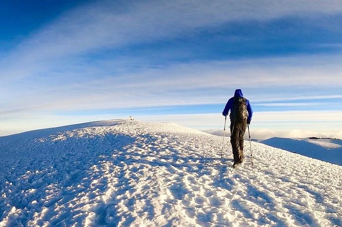 4 Days Mount Kenya Trekking - Moorland and Mackinders Valley on day two