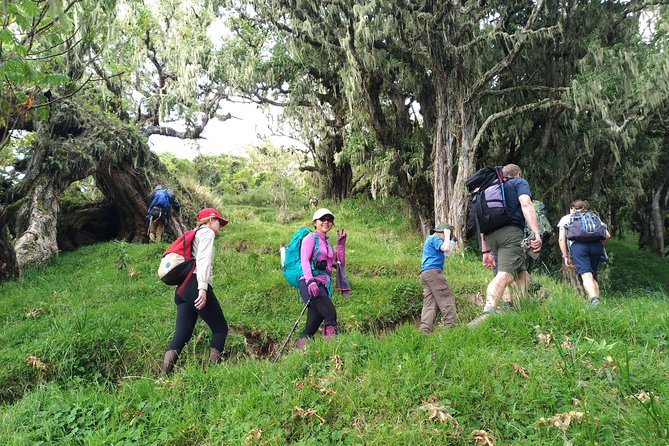 4 Days Mount Meru Trekking - What to pack for the huts and summit morning