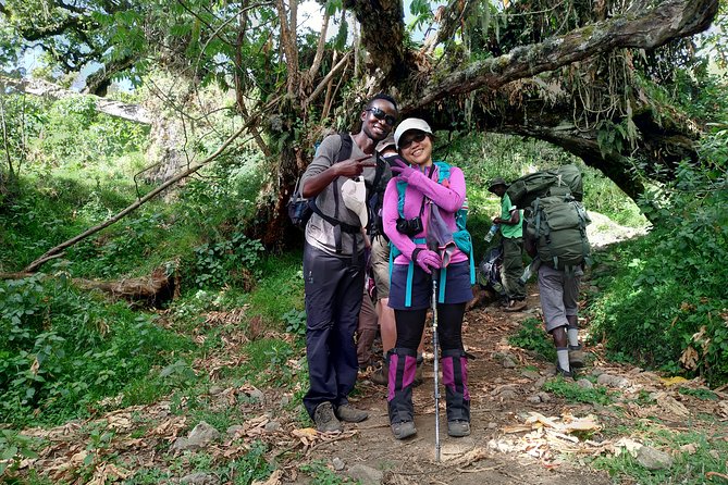 4 Days Mount Meru Trekking - Day two: Rainforest, Elephant Back, and Little Meru