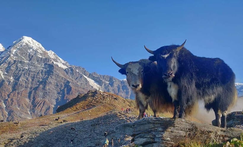 4 Days Pikey Peak Trek : The Best View of Mt Everest - Best Seasons for Clear Mountain Views