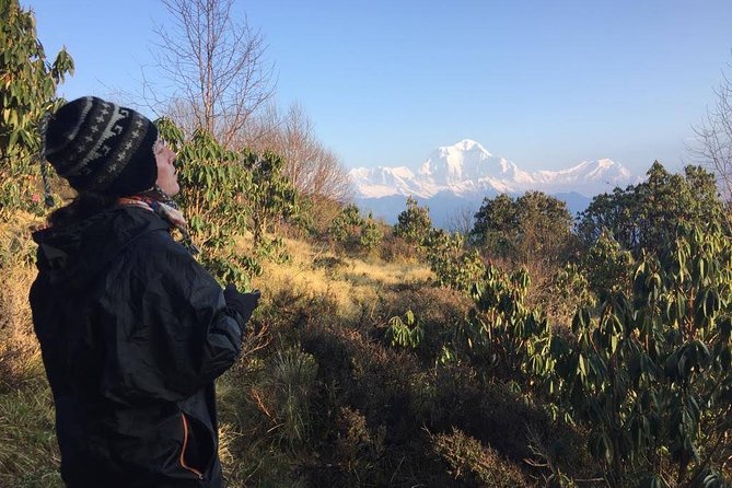 4 Days Poon Hill Trek - Why Poon Hill works so well as a short trek