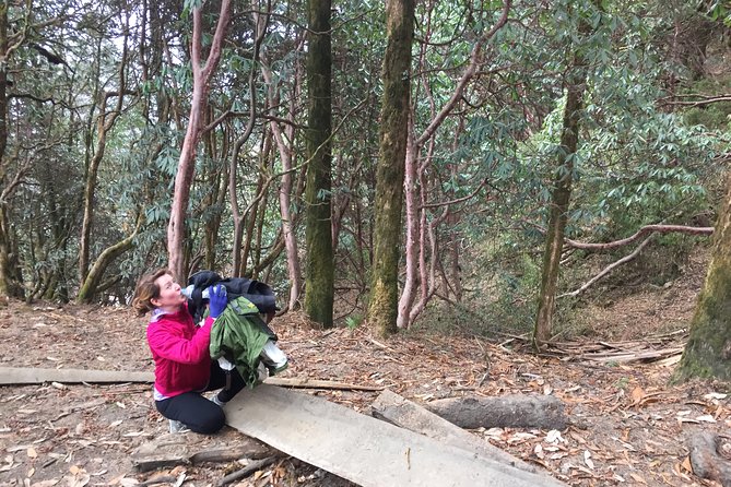 4 Days Poon Hill Trek - Day 1: Leaving Kathmandu and reaching the mountain trail