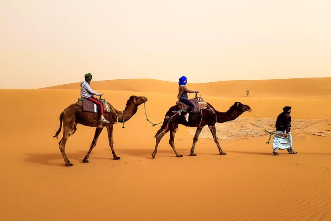 4 days trek - The legs of camels - Key things to know before you book