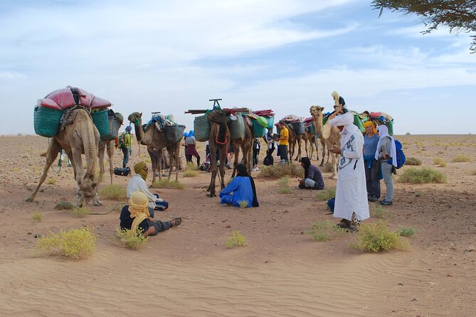 4 days trek - The legs of camels - Four days of camp life and nomadic contact